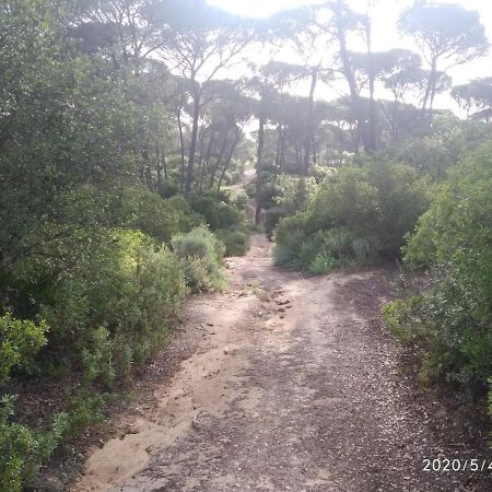 Casa Rural Los Pinos Hinojos 외부 사진