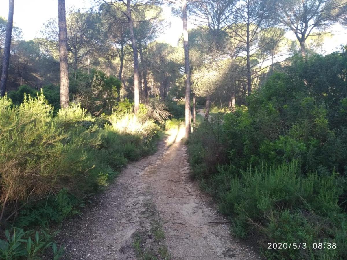 Casa Rural Los Pinos Hinojos 외부 사진