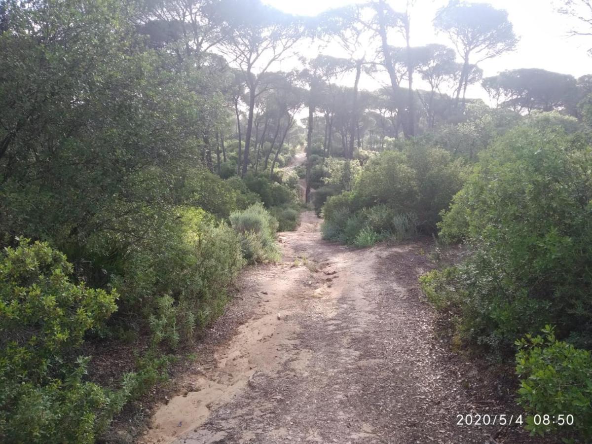 Casa Rural Los Pinos Hinojos 외부 사진